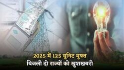 सरकार की बड़ी घोषणा: 2025 तक बिजली के बिलों से मिलेगी राहत, जानें 'फ्री इलेक्ट्रिसिटी प्लान' की पूरी जानकारी!