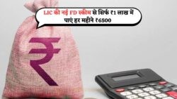 LIC की नई FD स्कीम: ₹1 लाख निवेश कर हर महीने कमाएं ₹6500