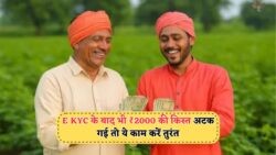E-KYC के बाद भी ₹2000 की किस्त नहीं मिली? जानिए कौन सी गलती रोक रही है PM Kisan की 20वीं किस्त