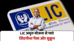 LIC की 'अमृत योजना': FD और RD को भूल जाइए, हर महीने पाएं मोटी इनकम!